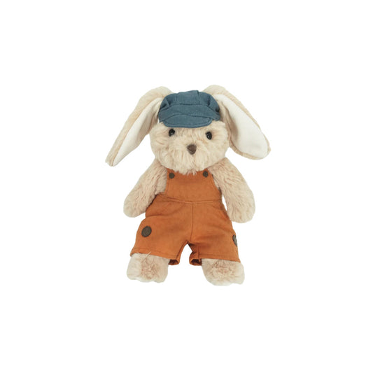 MON AMI Benjamin Bunny